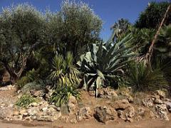 183 D35 PARC OLBIUS RIQUIER A HYERES_000019